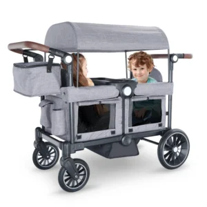 Wagon Stroller 2 Kids, All-Terrain Canopy,
