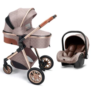 All-in-One Reversible Parent-Facing High Landscape